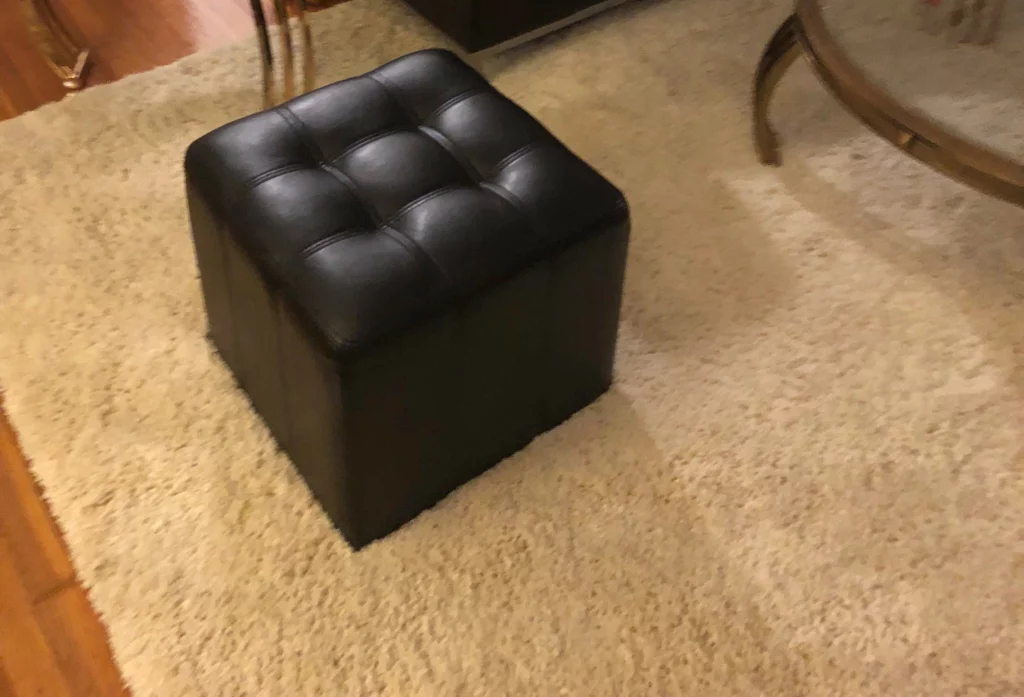 rug in the living room