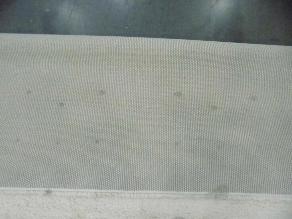 rug with stains on the bottom